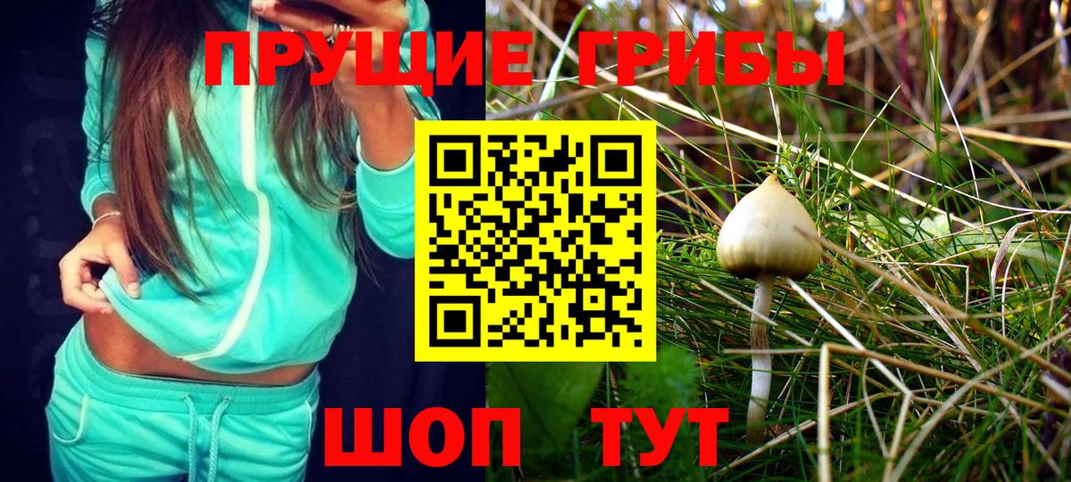 Галлюциногенные грибы мицелий Воркута