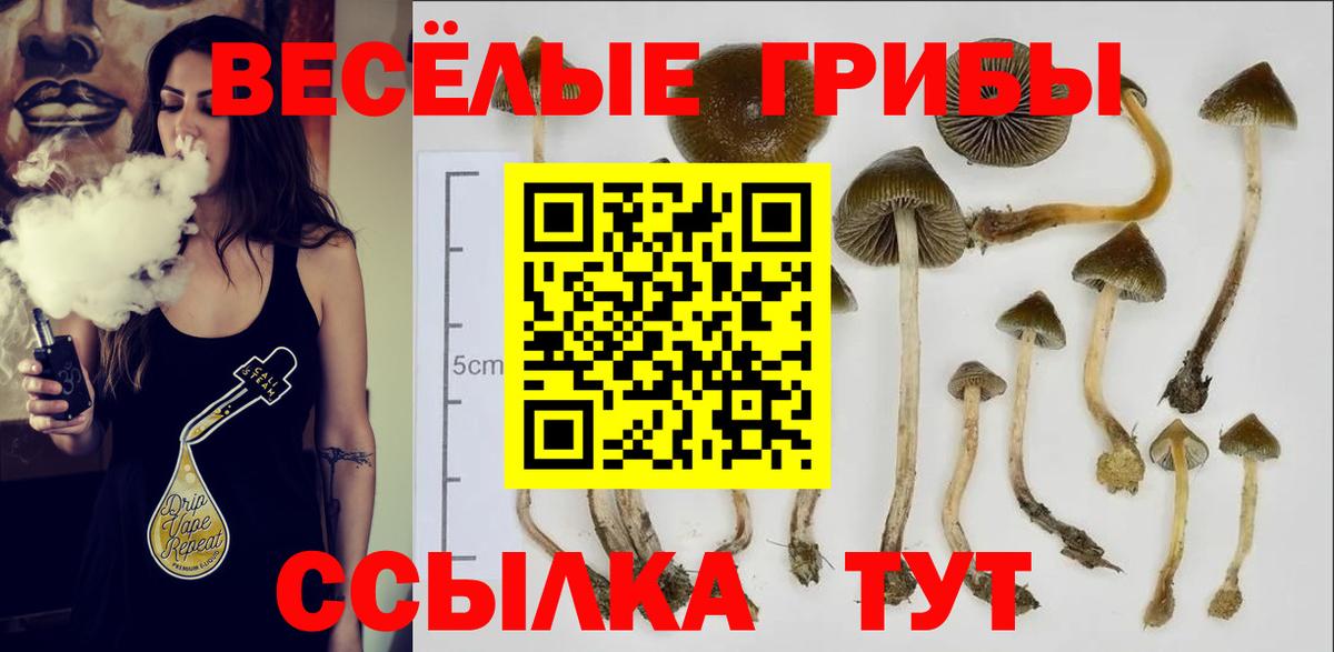 Псилоцибиновые грибы Cubensis  Вход с VPN  Воркута  Псилоцибиновые грибы Psilocybe 